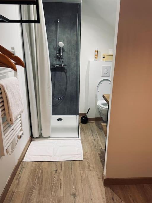 Bryas 3 - Appartement Tres Chaleureux Châteauroux Exteriör bild